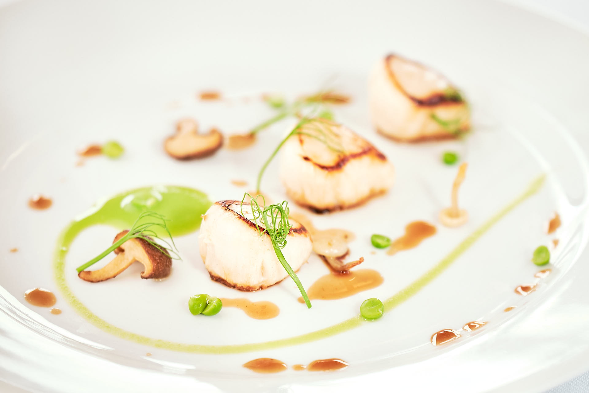Scallops and pea shoots on a plain white plate.