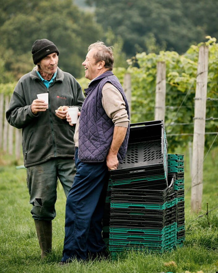 Tow vineyard workers stopping for a cup of tea during the vintage on an English vineyard